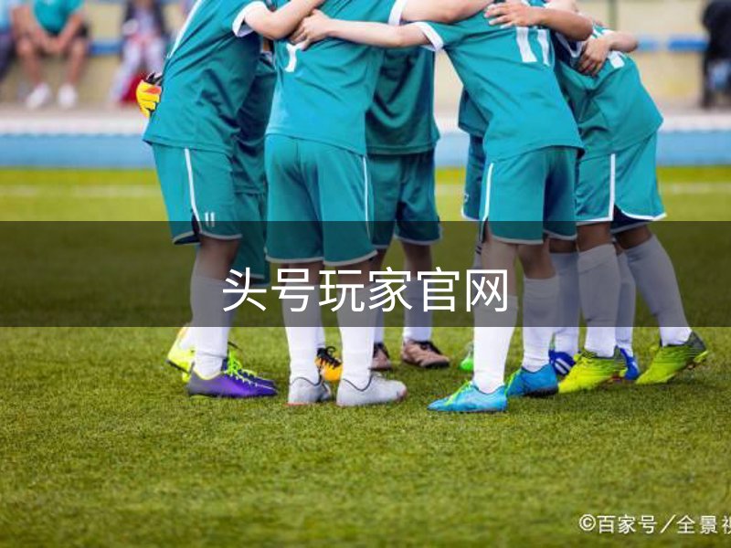 网站介绍